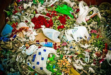 Os problemas ecolóxicos que produce o lixo