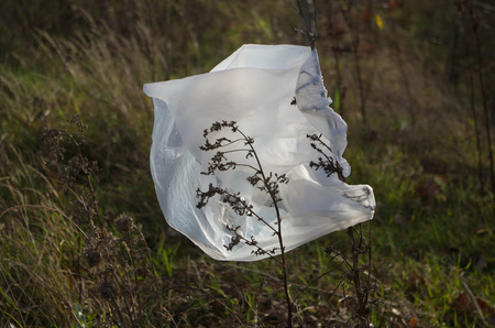 Bolsa plastico